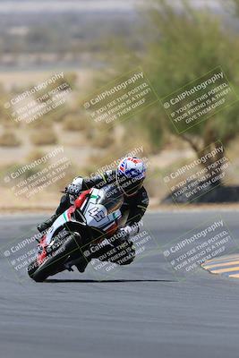 media/May-14-2023-SoCal Trackdays (Sun) [[024eb53b40]]/Turn 5 Tree of Life (1125am)/